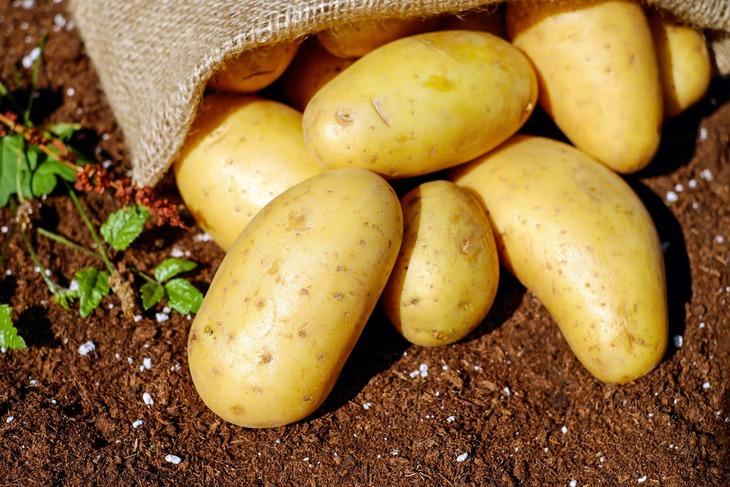 Мировой экспорт картофель продолжает снижаться